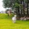Chalet Sirun Strandcamping Valkenisse, Biggekerke