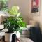 Villetta - Matakana Boutique Luxury Accommodation