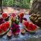 Ida Guest House & JUNGLE TREKKING