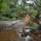 Rainforest cabin