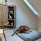 Cozy City Apartment Daun - Ferienwohnung
