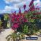 Dream Tiny House or Luxus Tent with pool