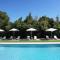 charming house with private pool in lagnes, near isle sur la sorgue, in the luberon, in Provence, for 8 people