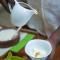 Yala Chalets by Lalan Leisure