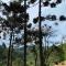 Chalés Fazenda Floresta das Araucárias