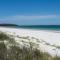 Coastal Crush