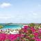 Shamrock Orient Bay