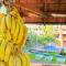 Hotel Los Ranchos Hotel Los Ranchos