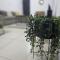 Epicurian Residence