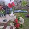 MALIBU APARTMENT BALATON NORTH