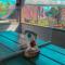 Divers Lodge Guest House