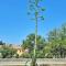 Apartman Agave