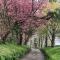 Hayne Barn Estate - 6 Luxury Lodges with private hot-tubs- 1 studio-loft without hot-tub