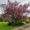 Hayne Barn Estate - 6 Luxury Lodges with private hot-tubs- 1 studio-loft without hot-tub