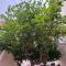 Modern 1-Bedroom Ground floor Apartment in Strovolos