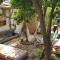 Tirana Backpacker Hostel