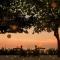 InterContinental Bali Resort by IHG InterContinental Bali Resort by IHG