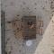 MaBella - MASSERIA PICCOLA by Rentbeat