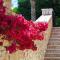 Luxury Corfu Villa Villa Dassia Rose Private Pool 4 Bedrooms