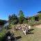 Cabañas el Bierzo