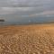 Sandstones