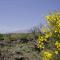 EcoAgriturismo Notti Stellate Etna Mare