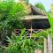 Paraíso Ayahuasca Hotel & Tours