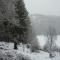 Peaceful Nature Stay in Bohon