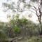 Echidna Ridge by Tiny Away