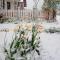 Apartment Knez