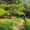 8-Bed Lotus Belle Mahal Tent in The Wye Valley