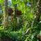 Satta Lodge