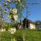 Cottage space