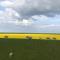 Tief 10 Wattn Watt-Blick 604