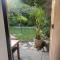 Bird Paradise In Bush setting