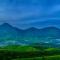 Lockhart Bungalow Munnar - A CGH Earth SAHA Experience