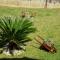 Anas House