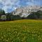 Family Appartment - Dachstein View
