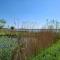 Sweetlake