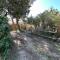 Mazet en Provence