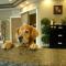 Oceanside Village Resort