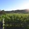 Grattai Grove Mudgee