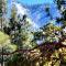 Bear Escapes II Affordable Luxury Cabin