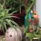 Cozy Nook Cottage - Sleeps 4 Garden & Parking