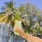 Peppers Beach Club