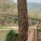Dsd Bomzon Homestay