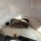 Golden Circle Domes - Glamping Experience