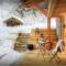 Chalet Riparian - OVO Network