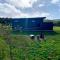 Farm Stay - Apollo Bay Tiny Stays