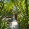 Secret Paradise